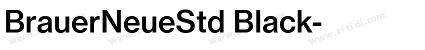 BrauerNeueStd Black字体转换